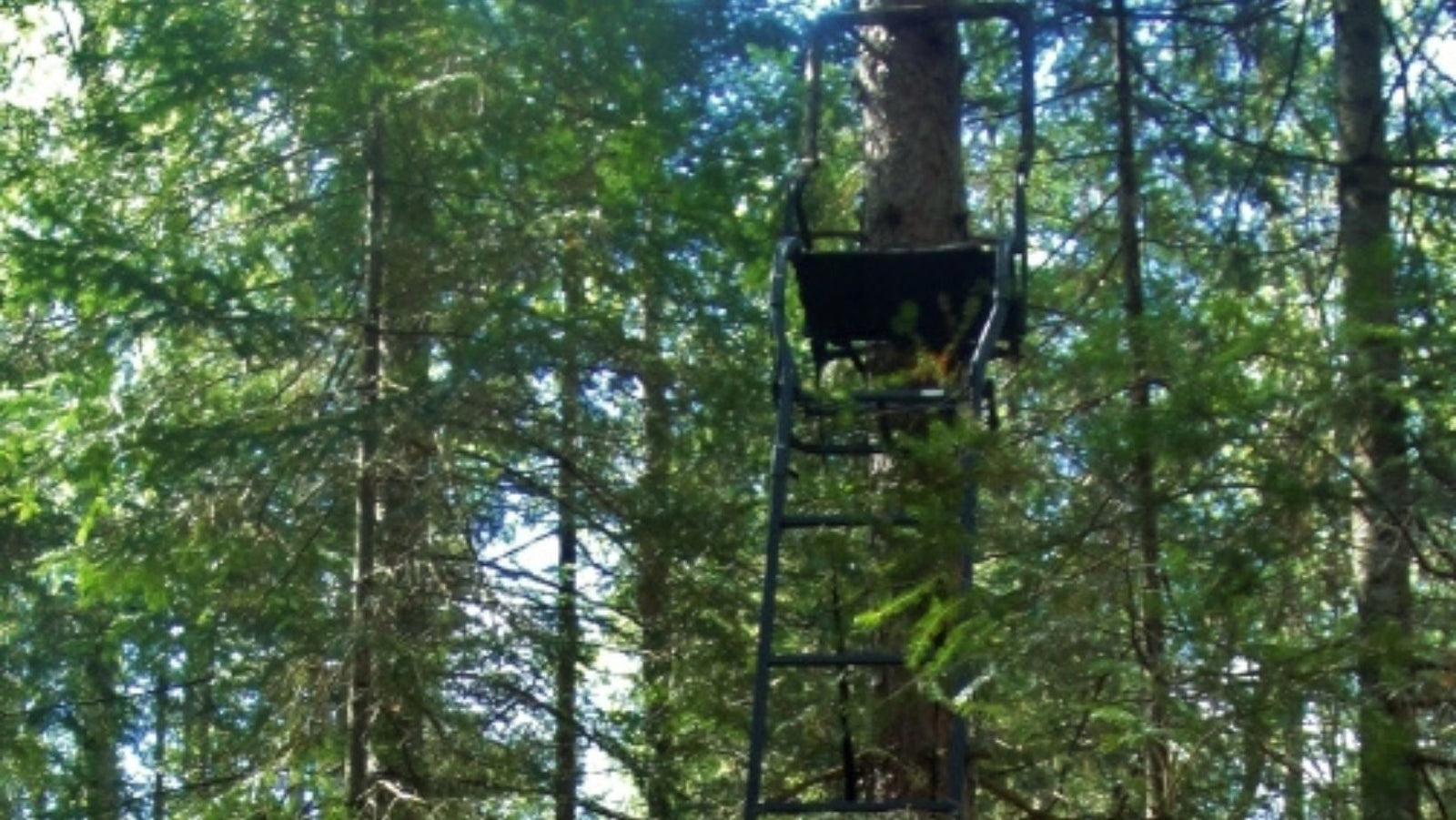 The Story of Mr. Charles