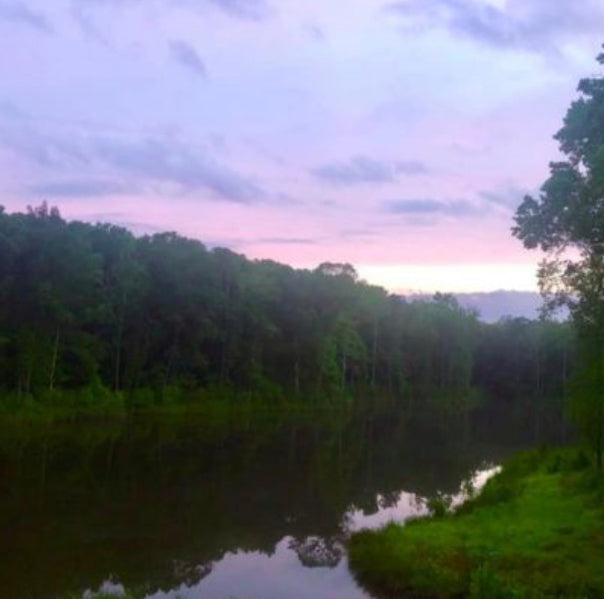 The Saturday Morning Post - A Different Kind of Cammo