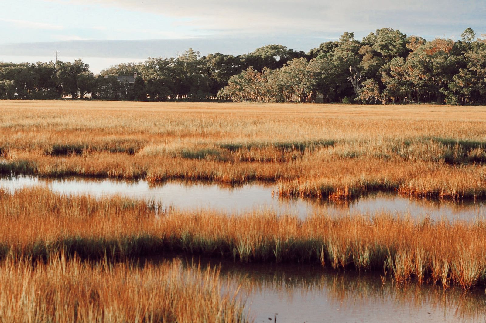 The Saturday Morning Post: A Shoot for the Soldiers