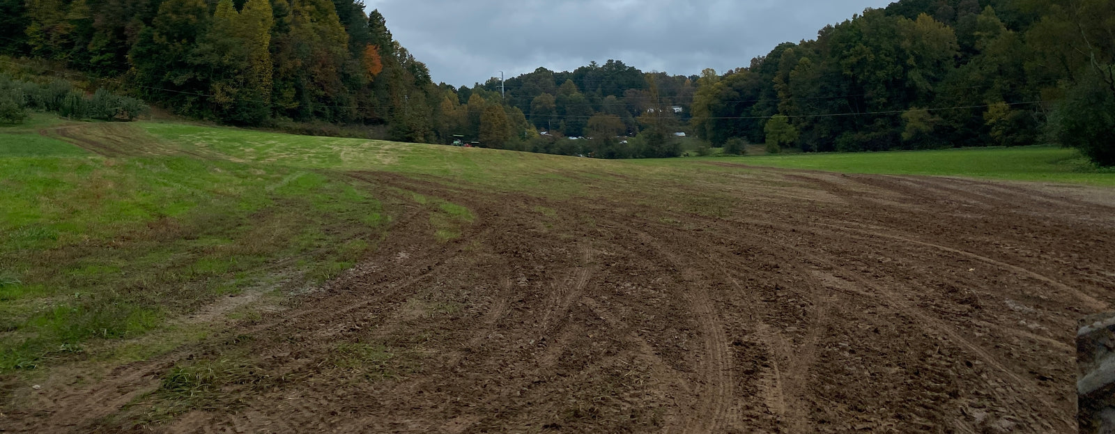 The Saturday Morning Post: Get Your Hands Dirty!