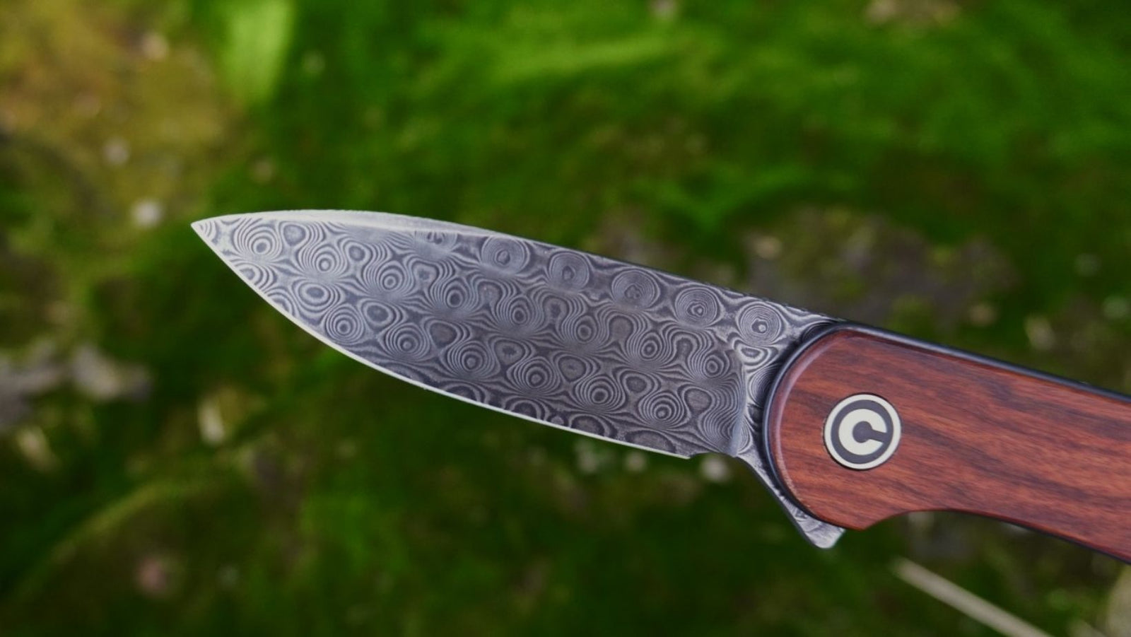 The Saturday Morning Post - Top Knife Selection for 2022