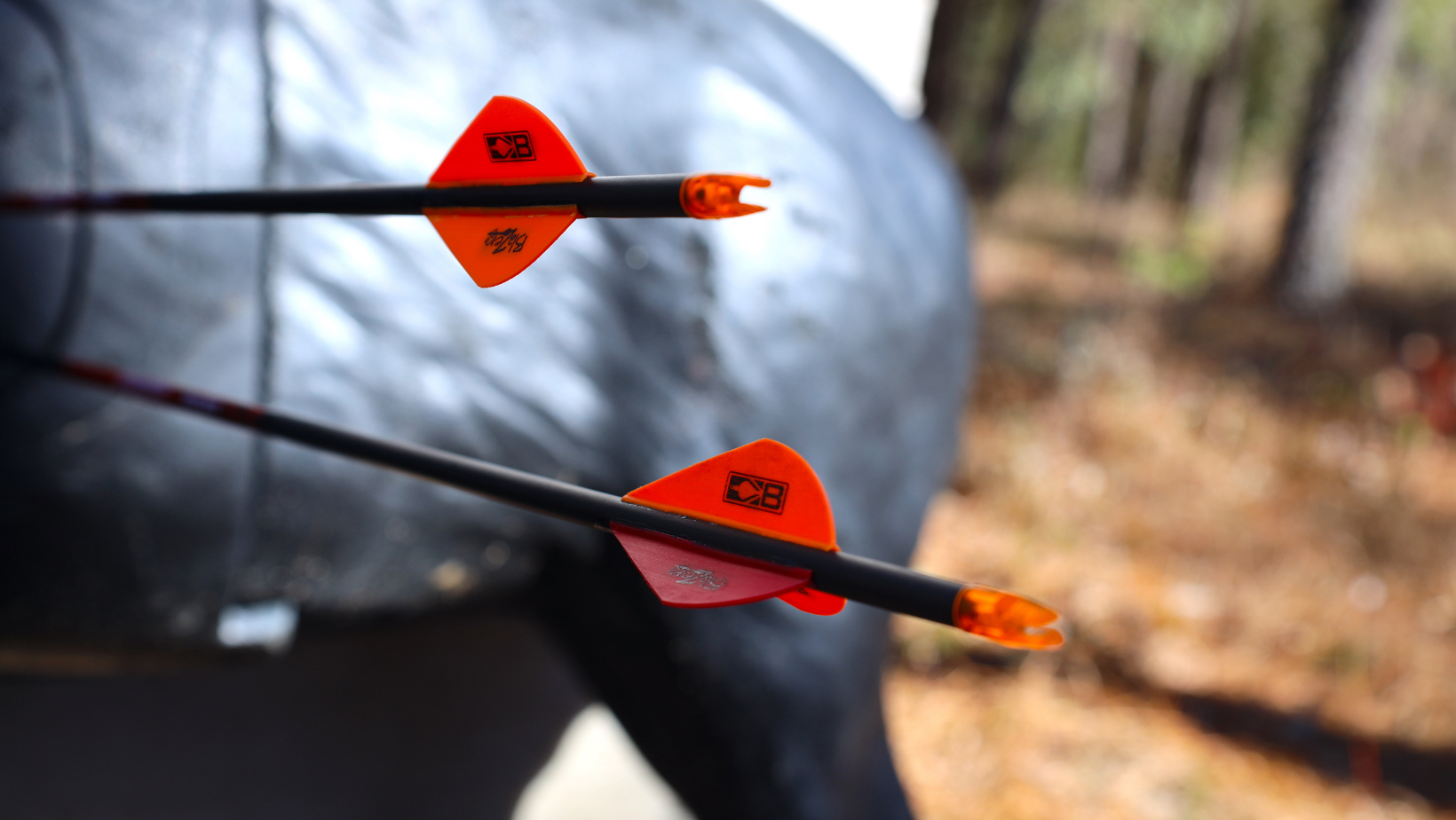 The Saturday Morning Post - Improving Your Year-Round Skills with 3D Archery