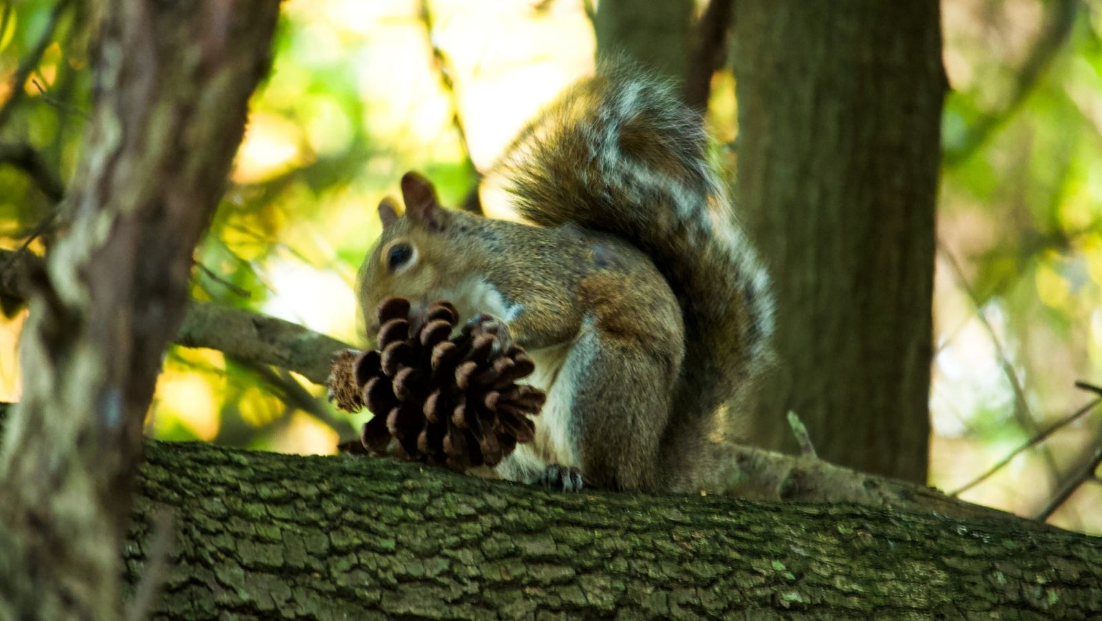 The Saturday Morning Post - Good Outdoorsmen