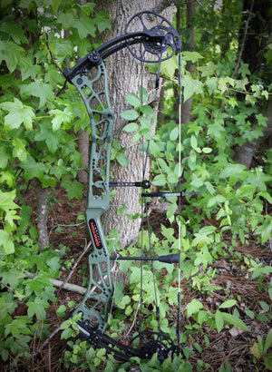 Darton Consequence Compound Bow