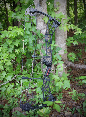 Darton Consequence Compound Bow