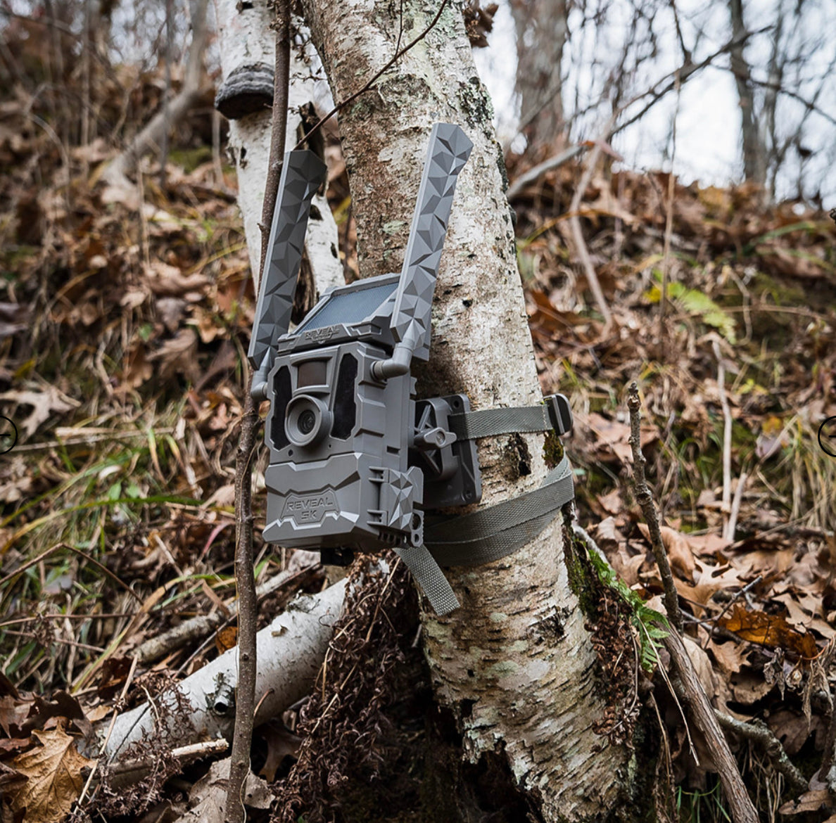 Reveal Adjustable Tree Mount