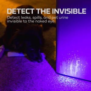 Nebo Torchy UV & Black Light | Dual UV Wavelength Flashlight