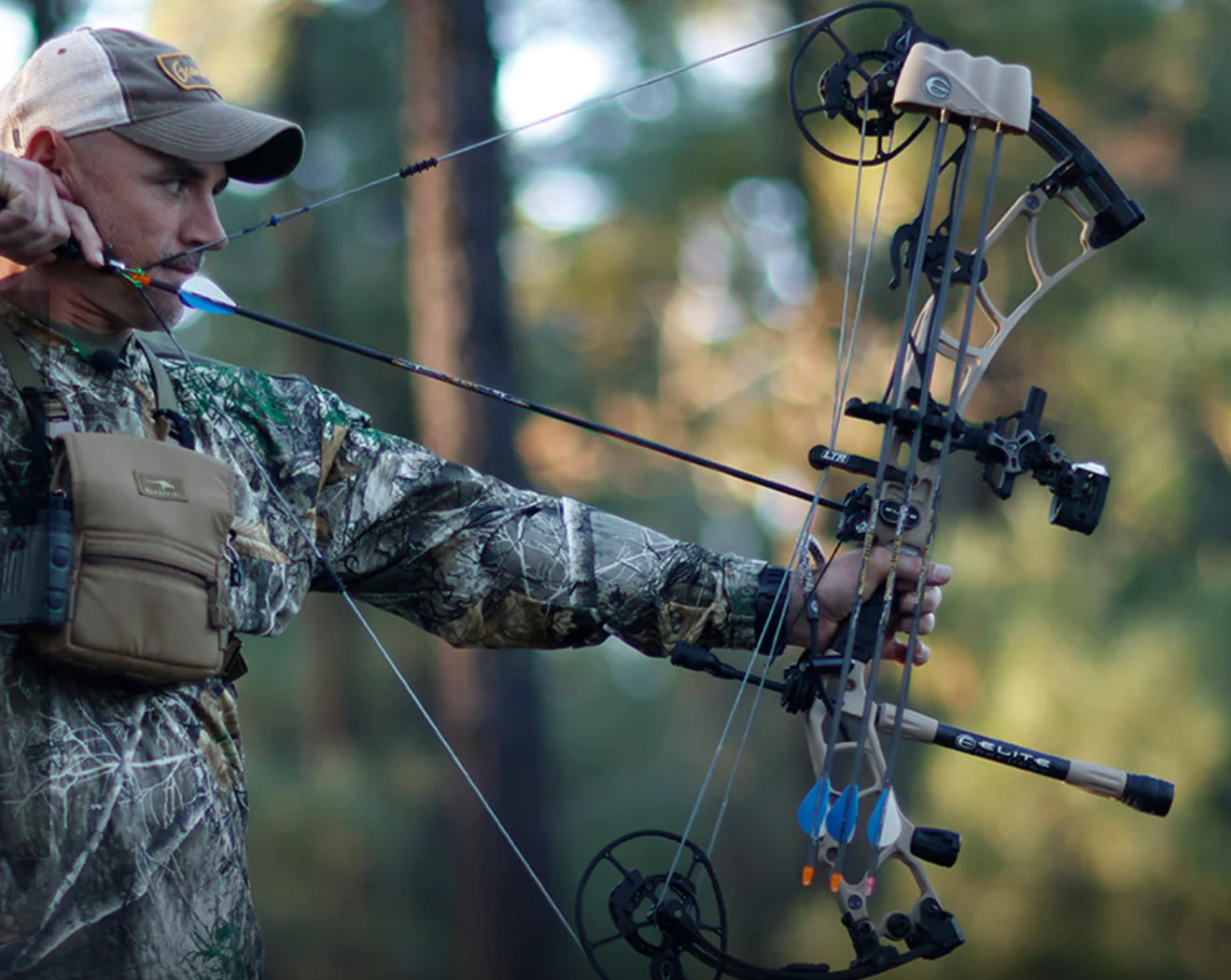 Elite Omnia Compound Bow | BEST VALUE Flagship by F&S | Uninterrupted Accuracy