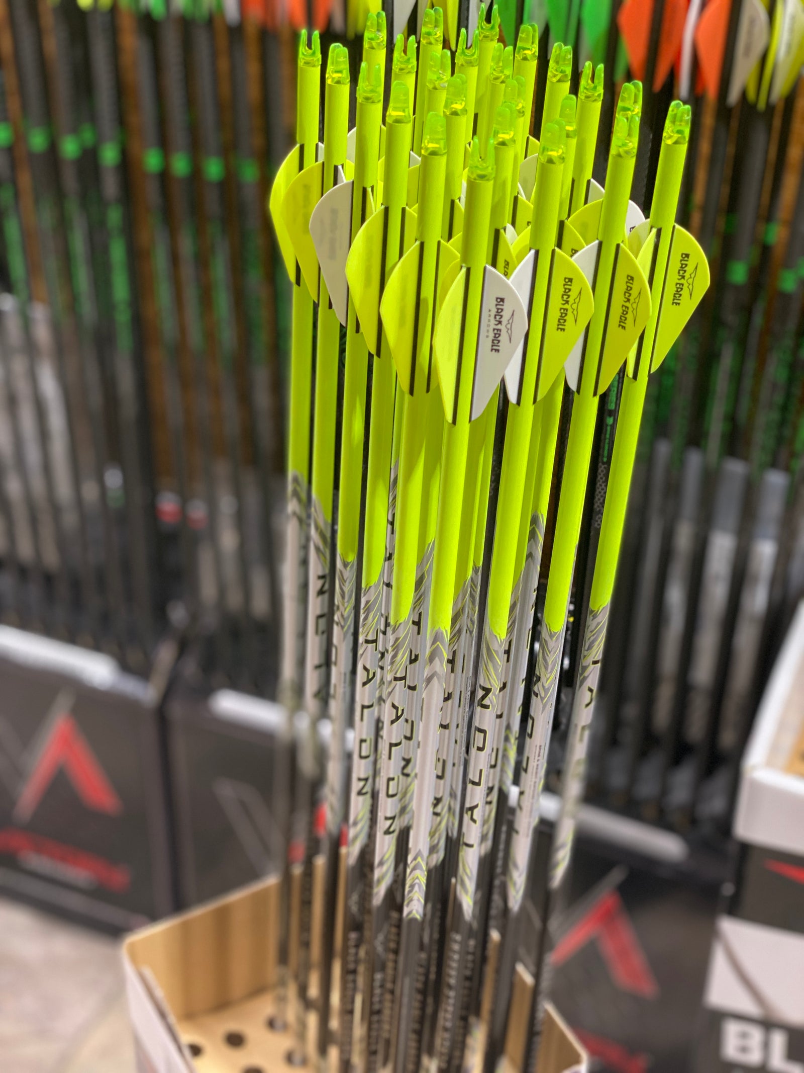 Black Eagle Talon Crested Fletched Arrows