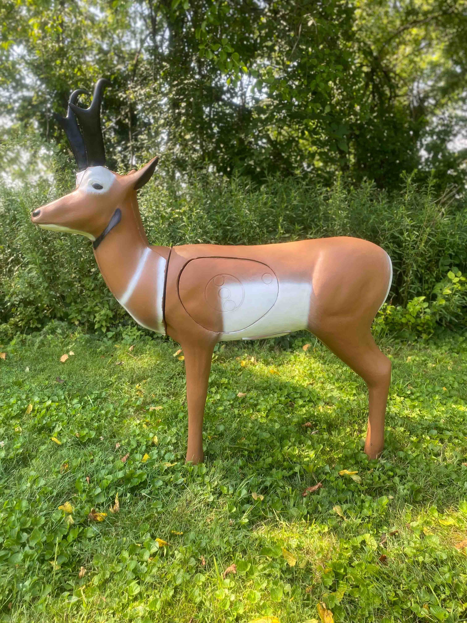 Real Wild 3D Pronghorn Antelope with EZ Pull Foam