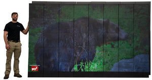 MONSTER Video Wall