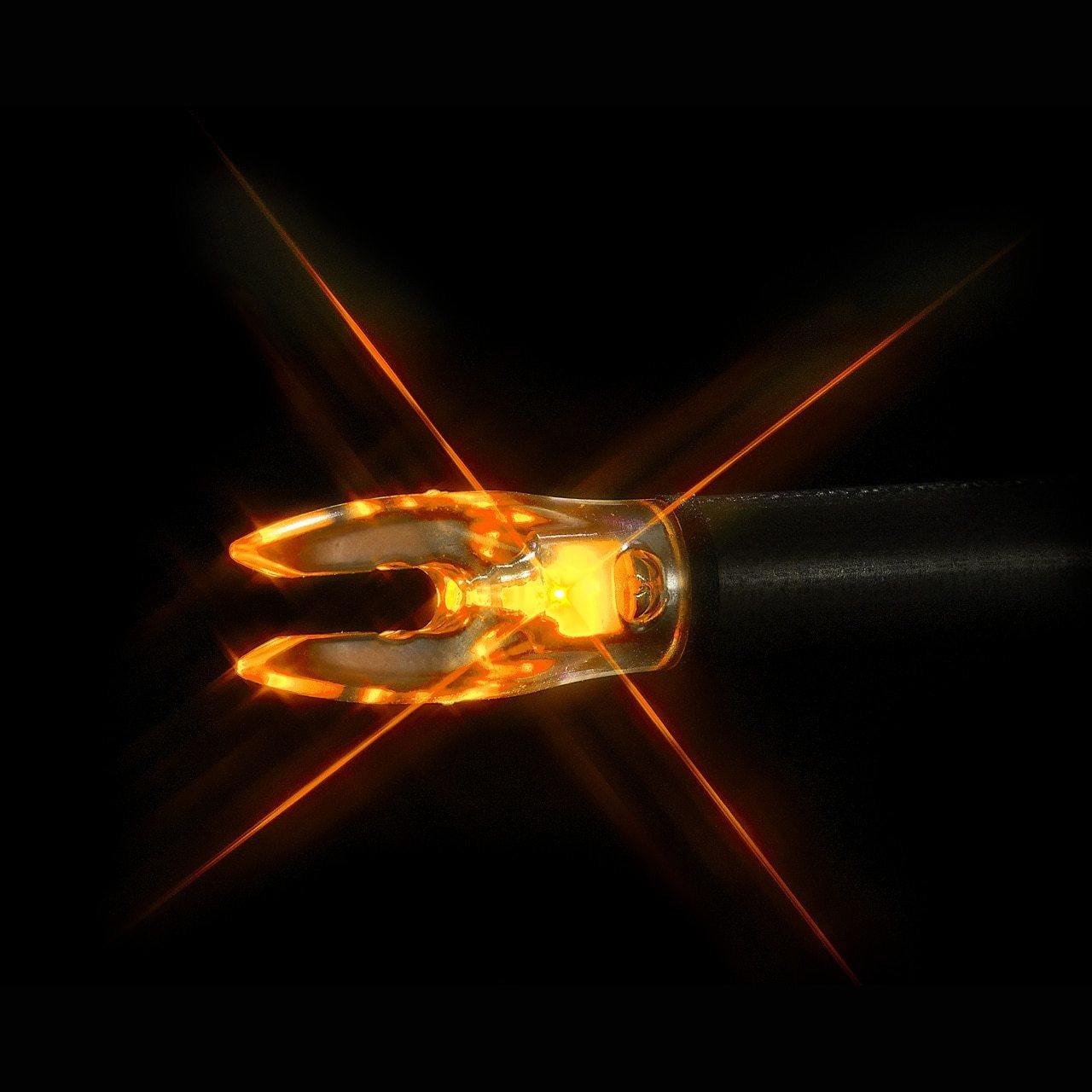 Nockturnal Nock - Bowtreader