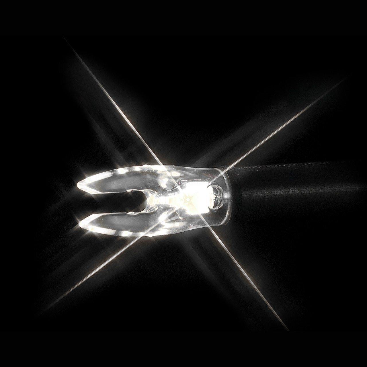 Nockturnal Nock - Bowtreader