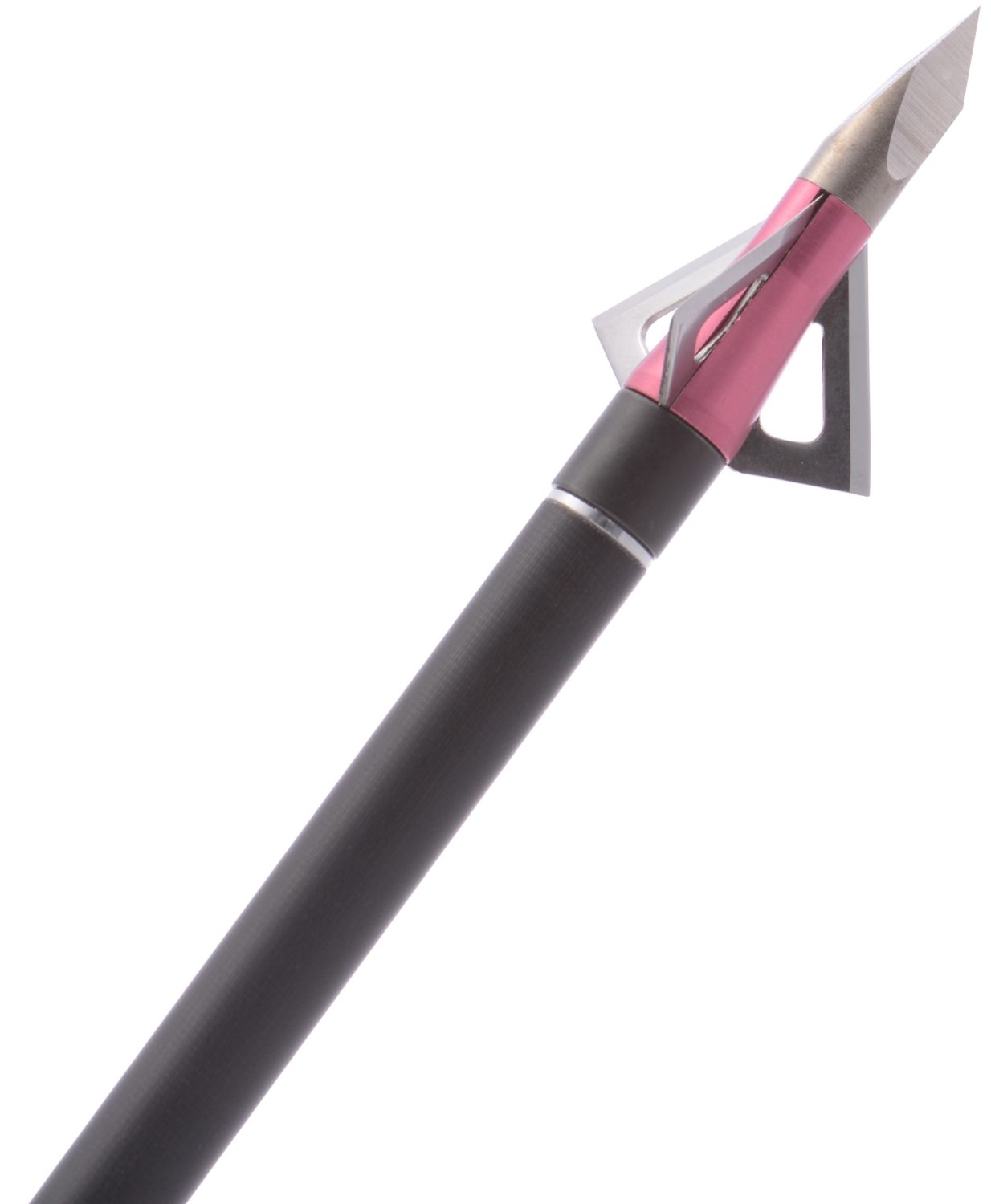 Wasp Queen Broadhead