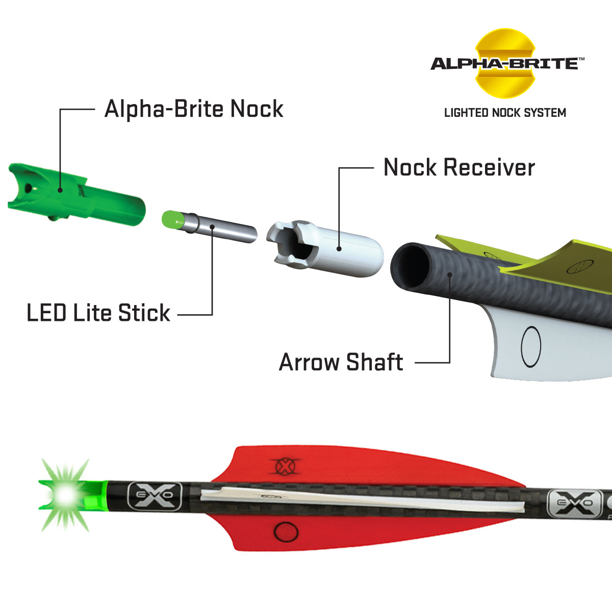 Tenpoint Alpha-Brite Lighted Nock System - Bowtreader
